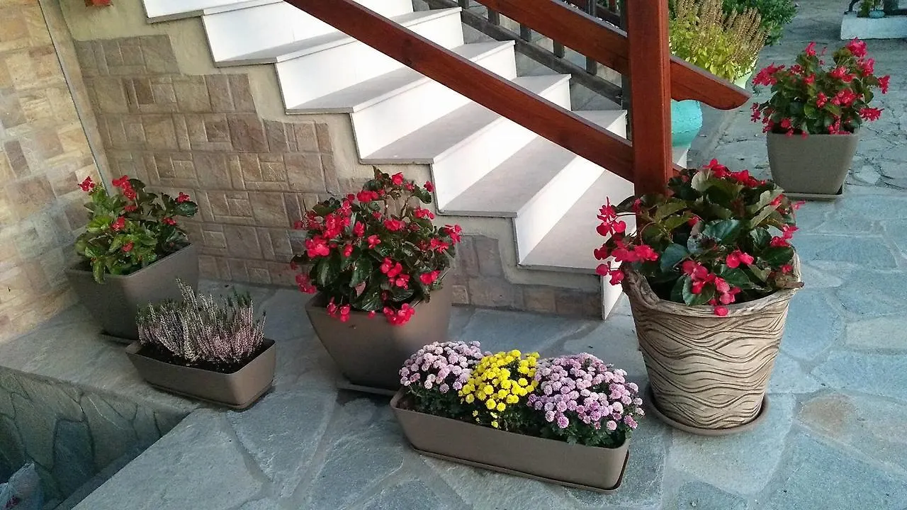 Prosforio Apartment Ouranoupoli Greece